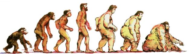 deitel-evolution-obesity