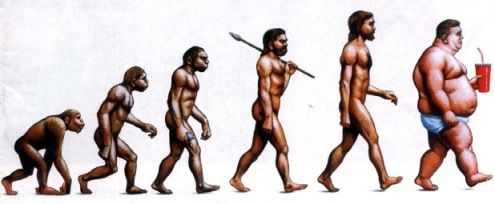 evolucionobesidad