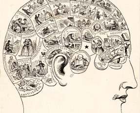 image-20150603-2956-g6mbmb